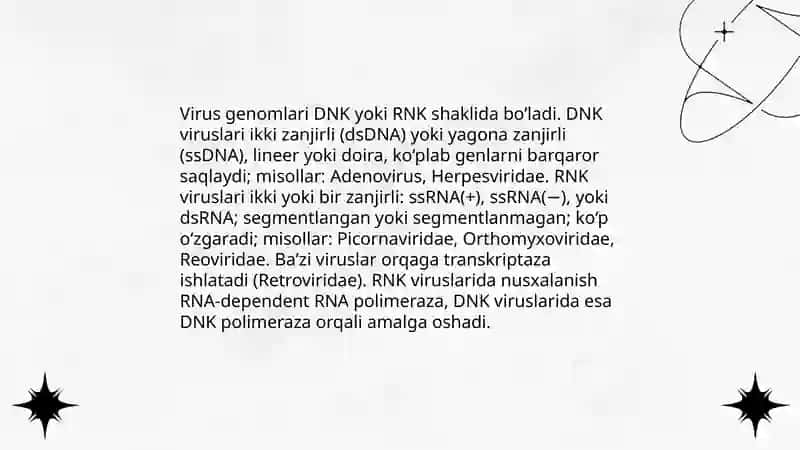 Viruslar: ularning oʻziga hos umumiy tuzilishi va farqlari 4
