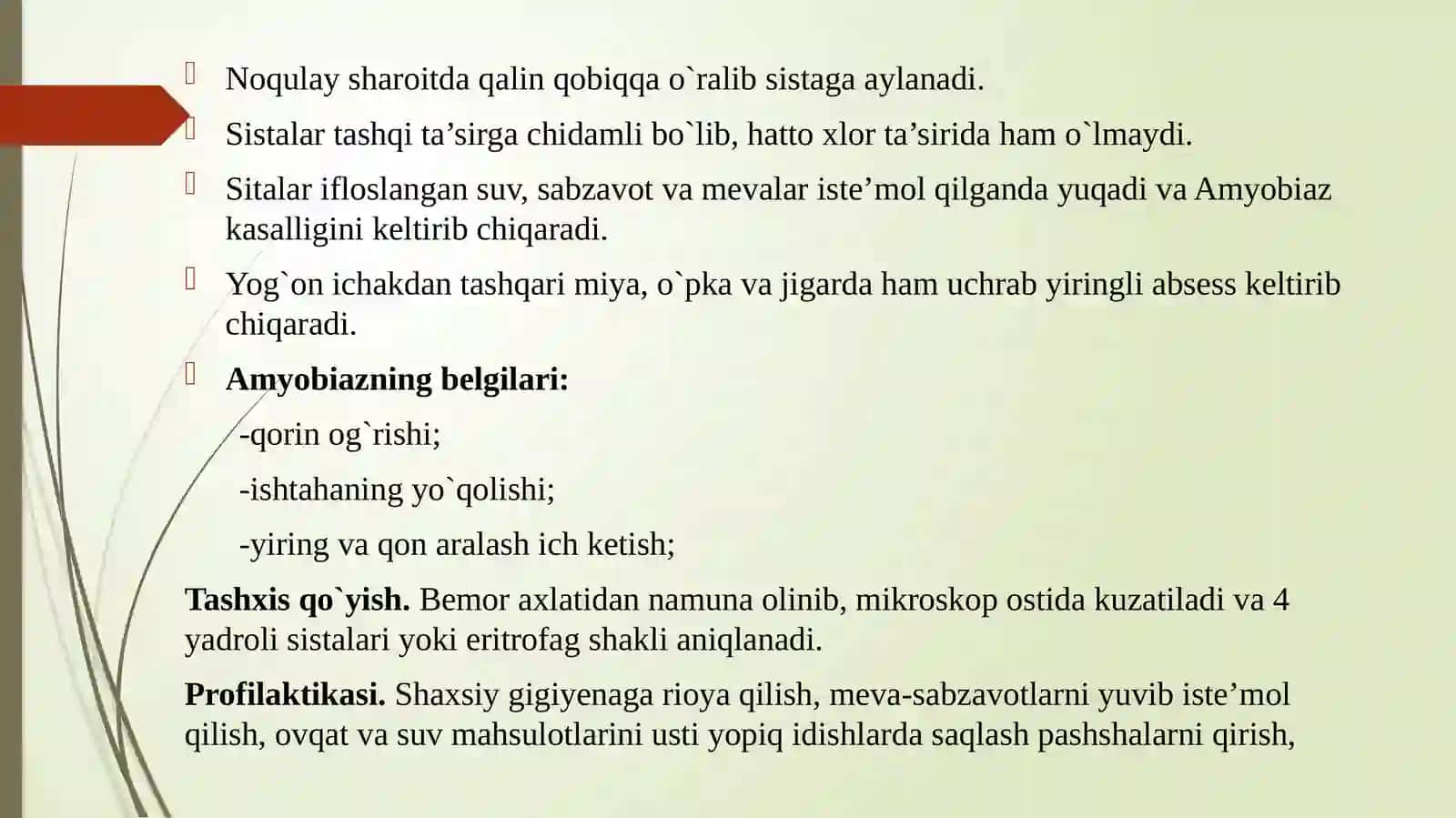 Ichburug‘ amyobasi va ichak balantidiyasi 4