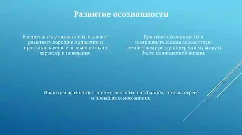 Воспитание утонченности 4
