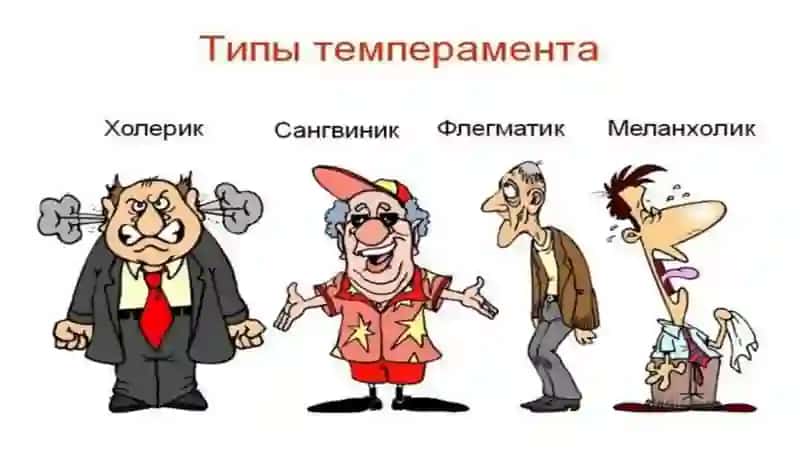 понятие темперамента 4