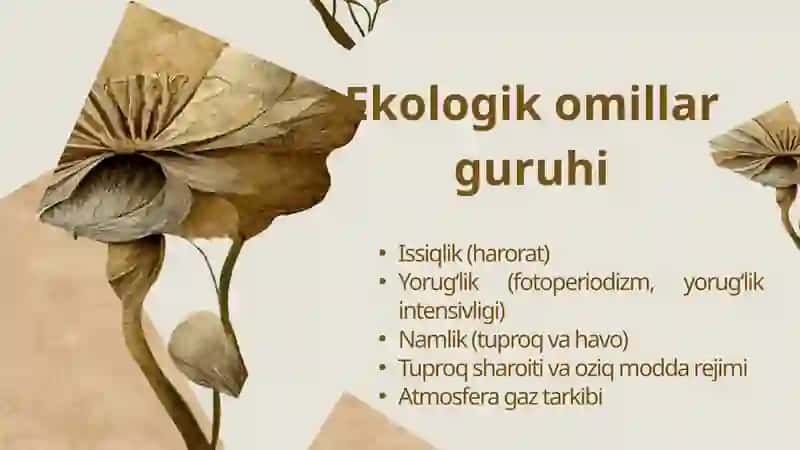GULLASH BIOLOGIYASIGA EKOLOGIK OMILLARNING TA’SIRI. 4