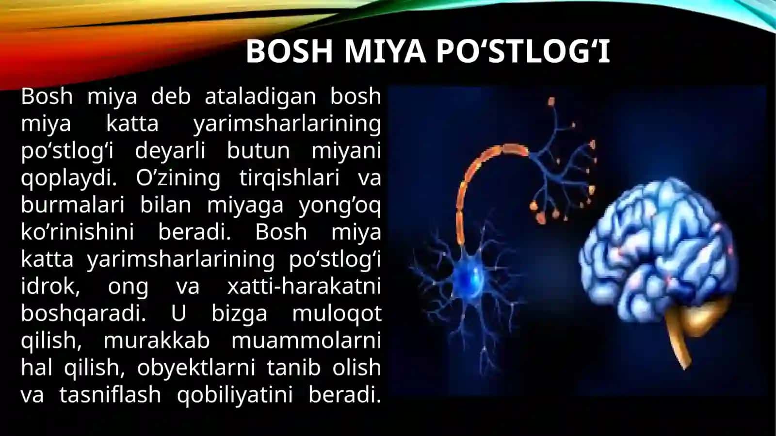 Miyavaasabtizimi 4