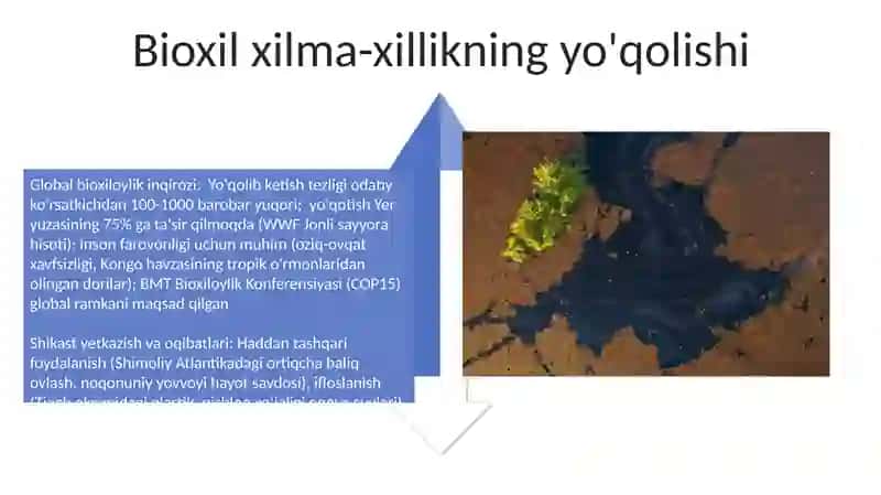 Global biologik xilma-xillik inqirozi 4