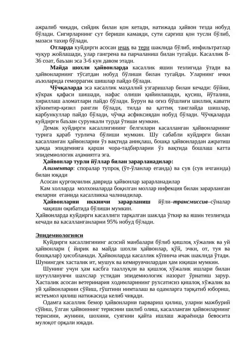 Куйдирги (Anthrax) 4