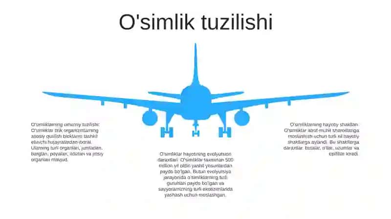O'Simliklar Dunyosi Ularning Hayotiy Shakllari 4