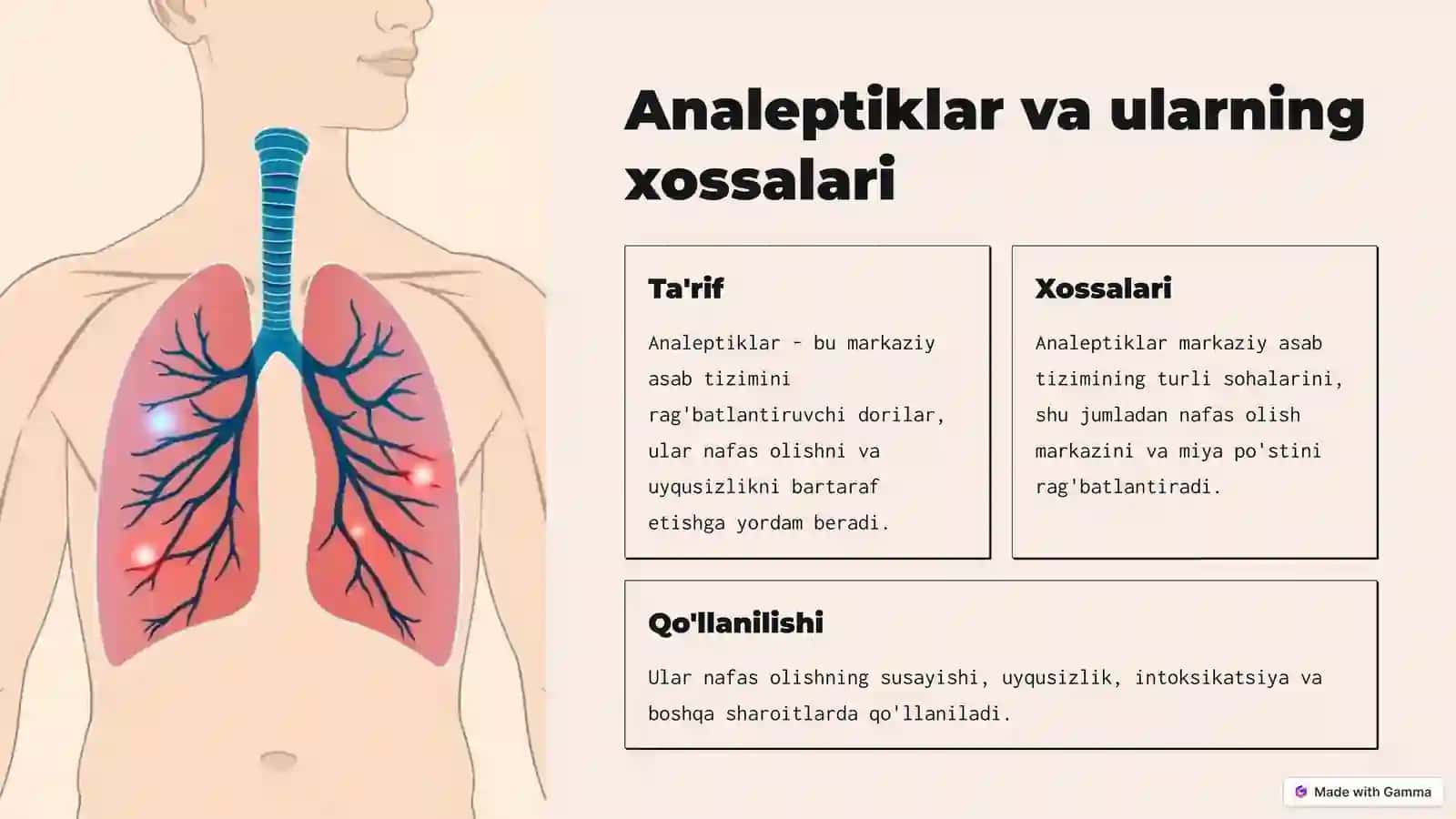 Nootropik va Serotoninergik Dorilar 4