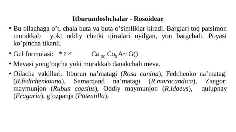 Ra'nodoshlar (Rosaceae) o'lasi 4