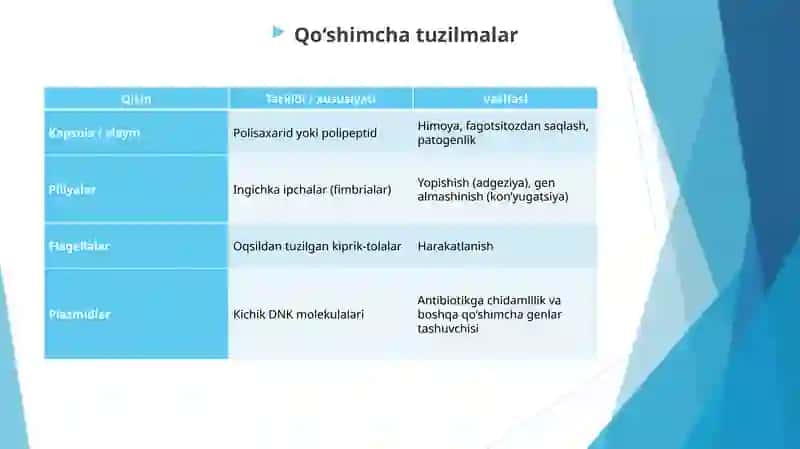Bakteriyalar prokaryot hujayralar tuzilishi va kimyoviy tarkibi 4