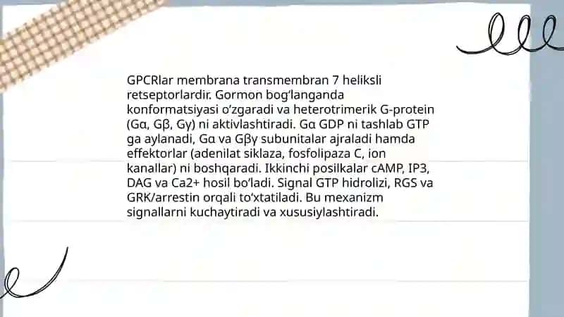 Gormonlarning nishon hujayralarga ta'sir mexanizmi 4