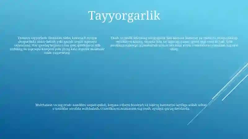 Tuproq Kesmasi Va Kartasini Tuzish 4