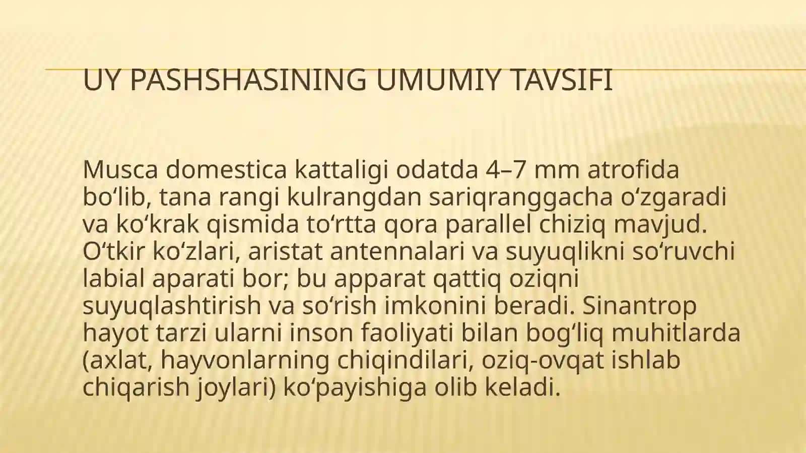 Uypashshasi(Musca domestica L.)ning biologik va ekologik xususiyatlari 4