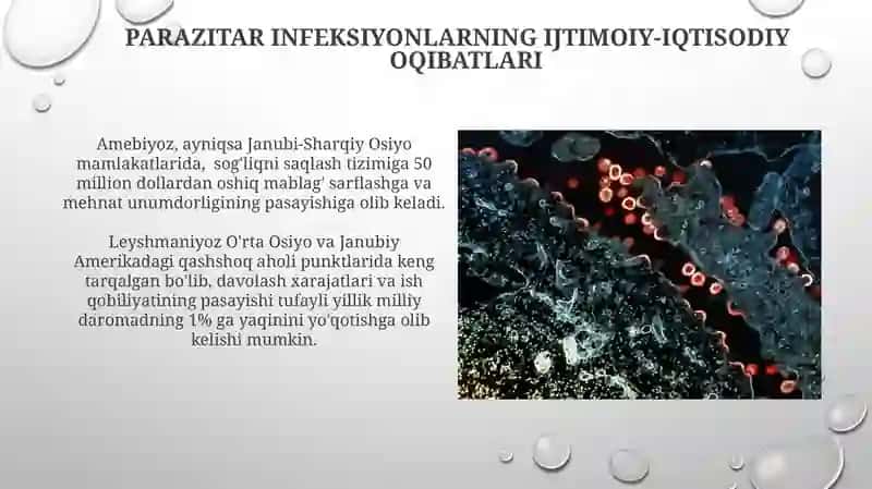 Parazitar infeksiyonlar 4