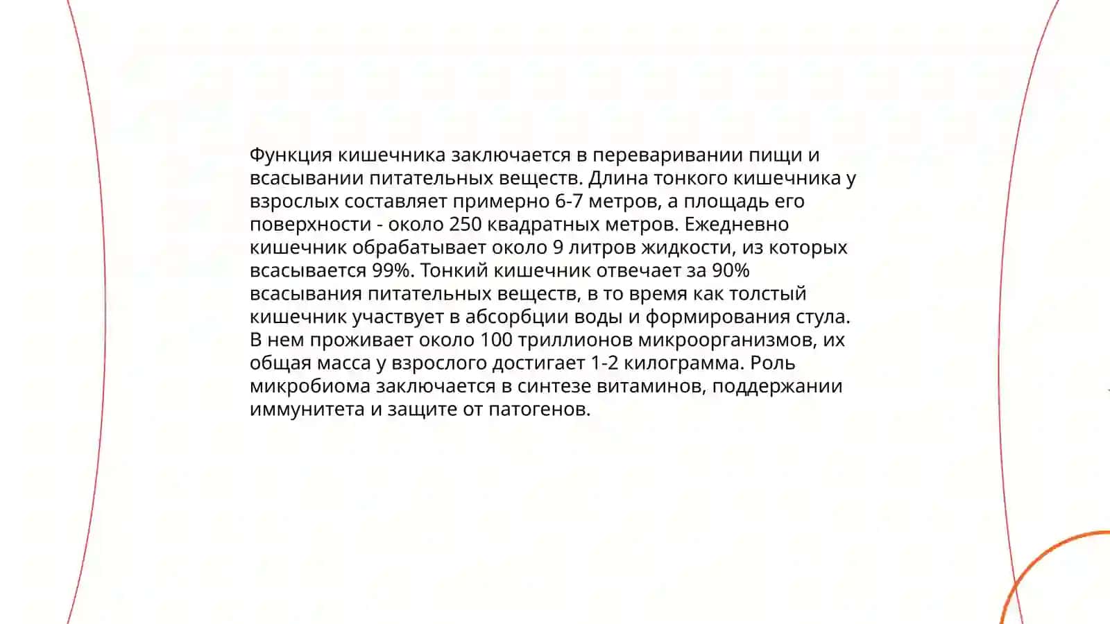 Кишечник 4