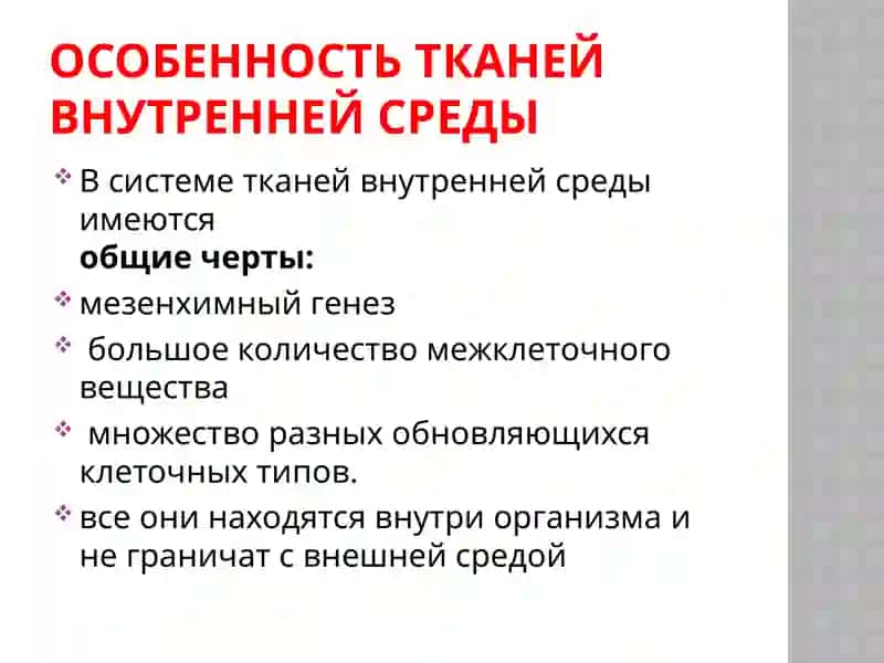 Ткани внутренней среды 4