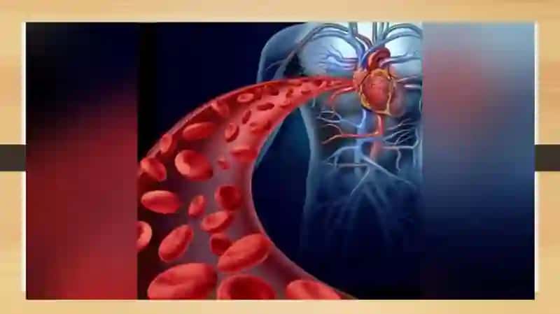 Qon tomirlarda qonning harakati va arterial pulsni organish. 4