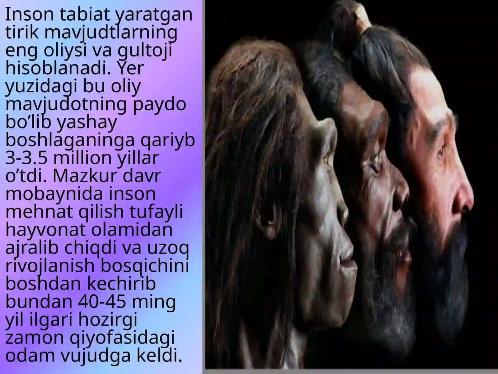 Insoning ilk vatanini aniqlashdagiingliz olimi Luis Liki tadqiqotlari 4