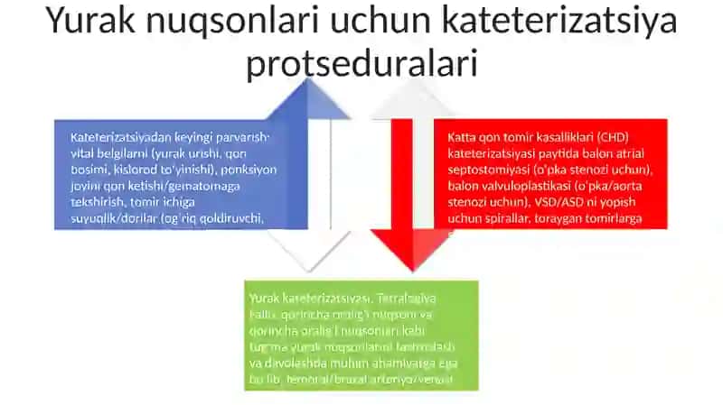 Yurakning tugʻma nuqsonlari 4