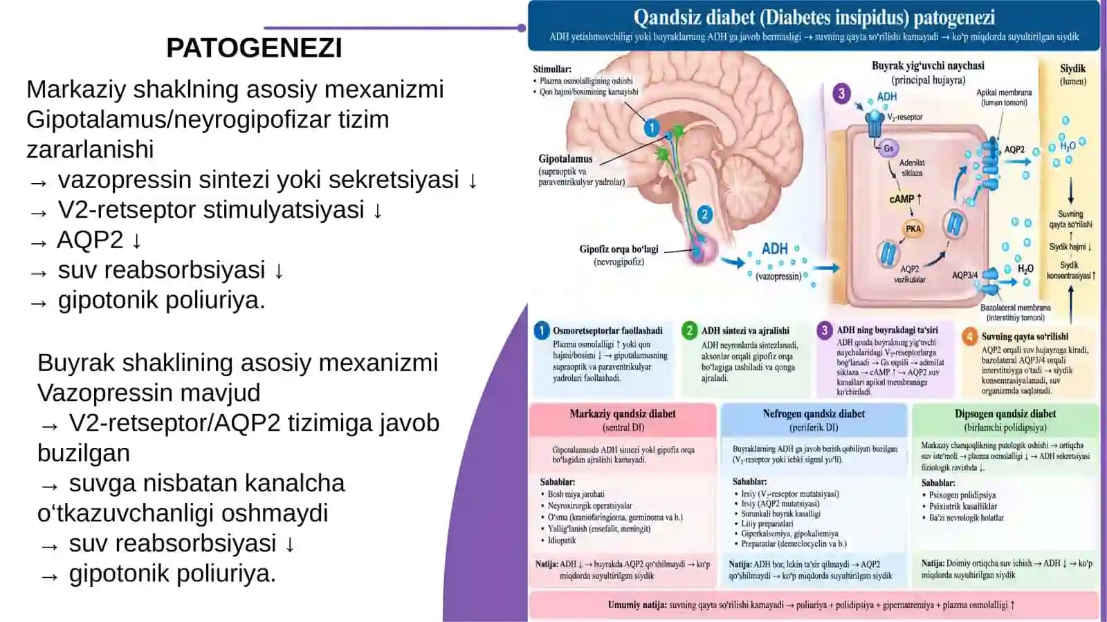 Qandsiz Diabet 4