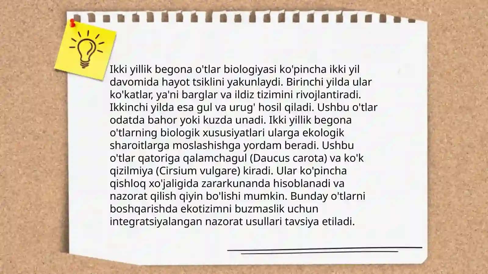 Noparazit begona o'tlar va bir yillik begona o'tlar 4