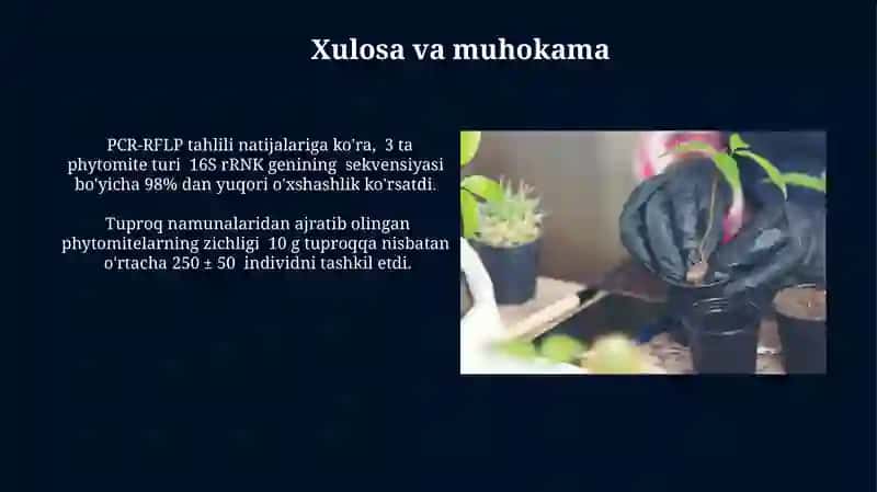 Fitofelmintlarni tuproqdan ajratib olish va aniqlash 4