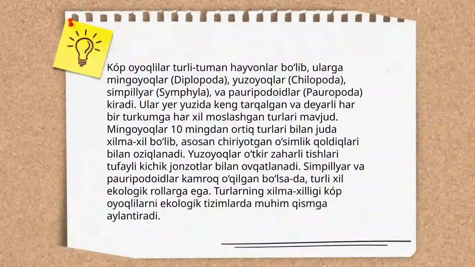 Kóp oyoqlilar sinfi 4