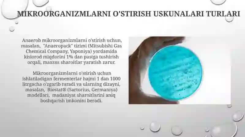 Mikroorganizm kulturalarni uskunalarini o'rganish 4