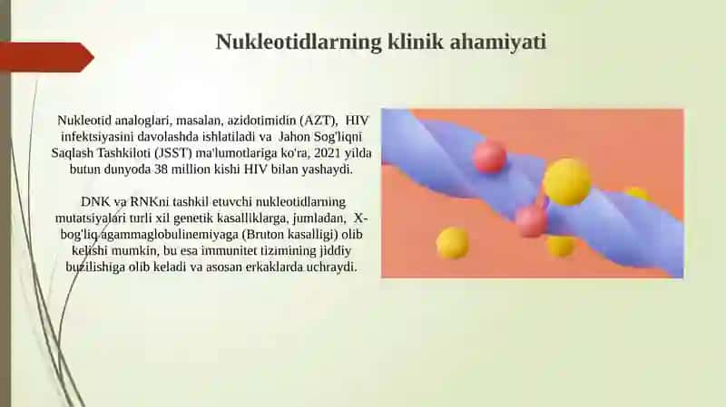 Nukleotidlarning tuzilishi va funksiyasi 4