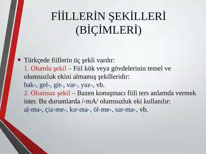 Fiiller(Eylemler) 4