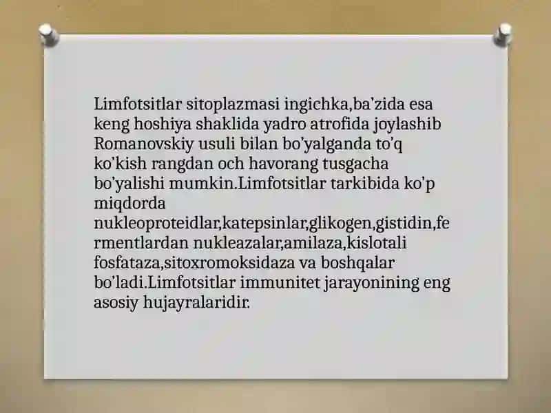 Limfotsitlar va ularning vazifalari 4