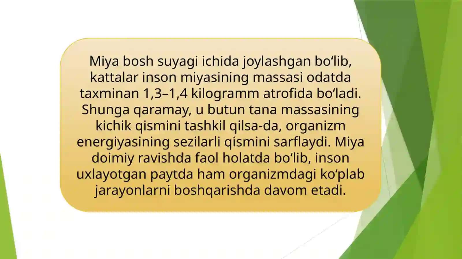 INSON MIYASINING TUZILISHI VA ASOSIY FAOLIYATI 4
