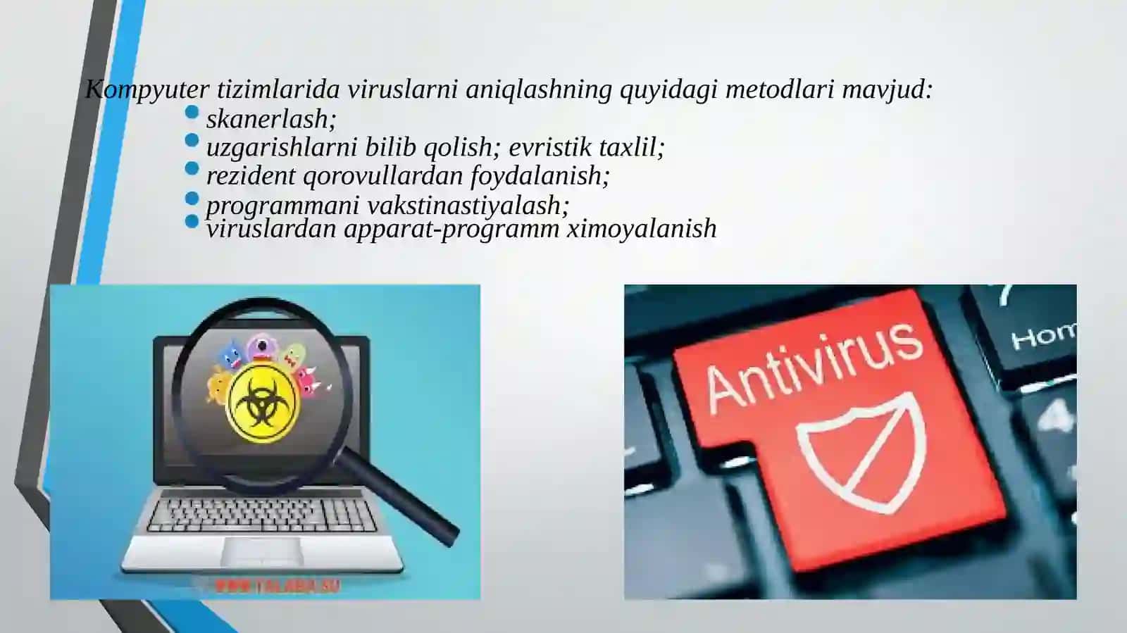 Viruslar haqida tushuncha 4