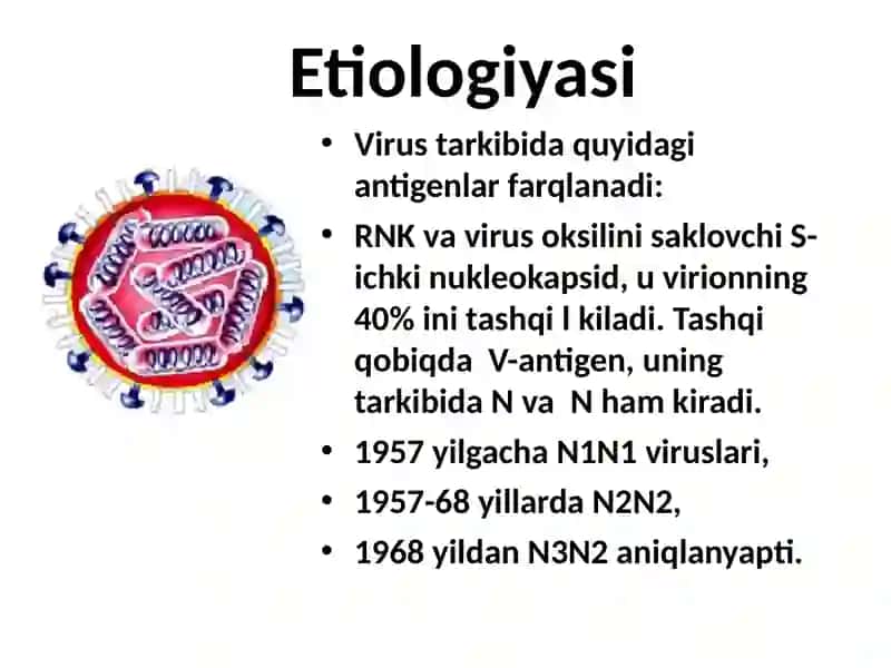 Gripp kasalligi 4