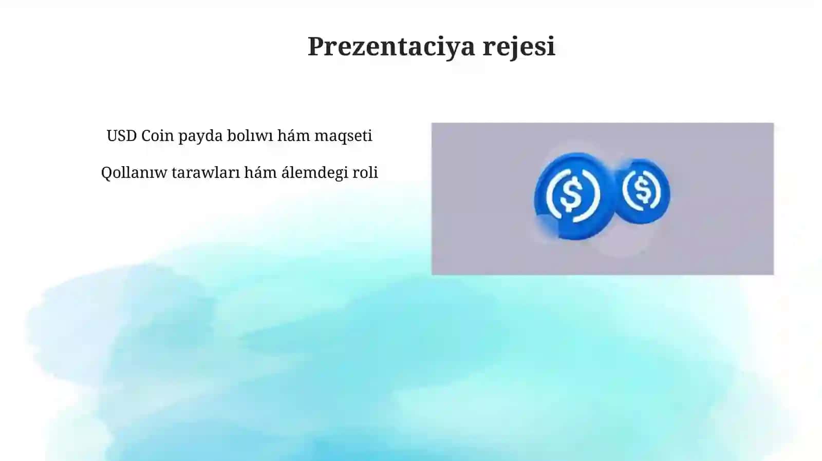 USD Coin 4