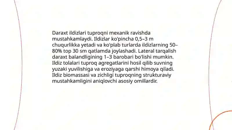 O‘rmonlarning tuproqni muhofaza qilishdagi ahamiyati 4