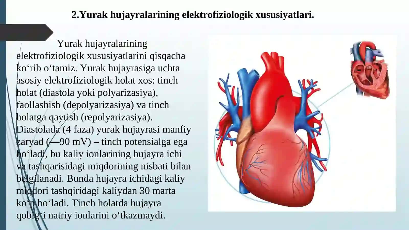 Kurs ishi, Prezentatsiya, Referat 4