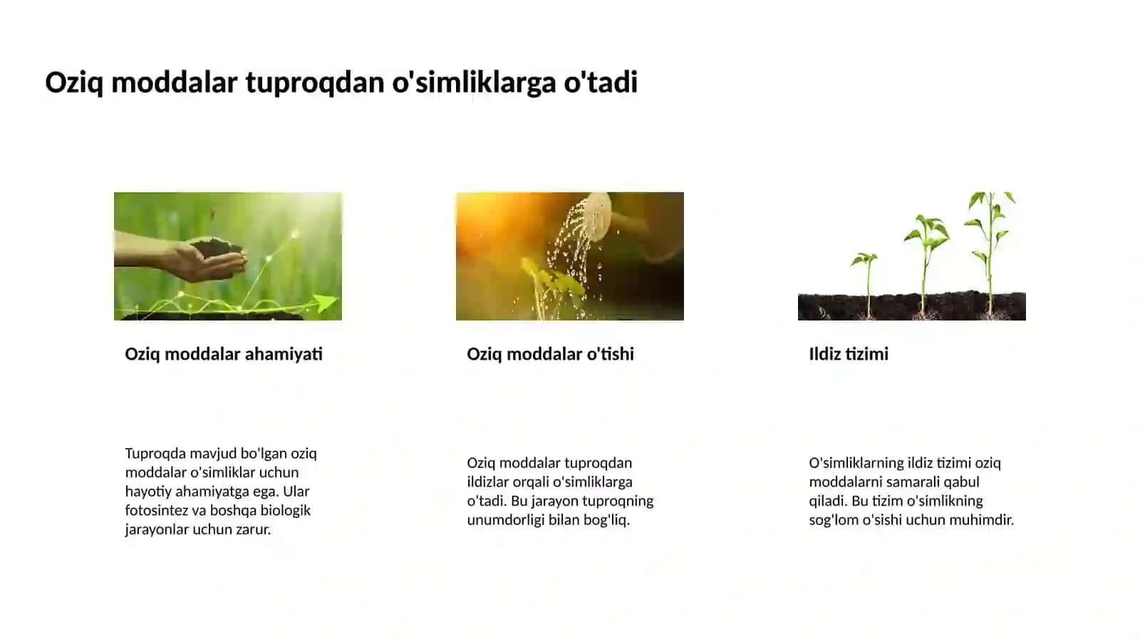 O'simliklar tanasida kechadigan modda almashinuv jarayoni 4