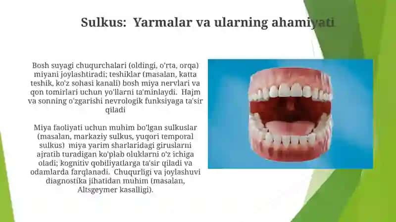 Kalla suyaklari asosi 4