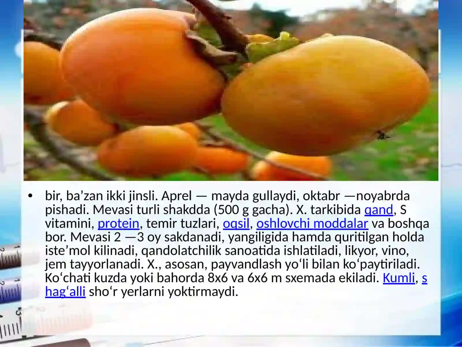 Xurmo va xurmodoshlar 4
