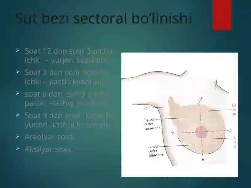 Sut bezi saratoni ekologiyasi, tasnifi, klinik belgilarini tahlil qilish 4