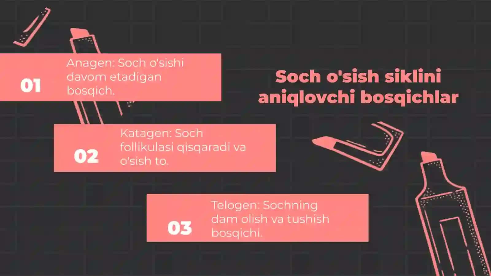 Soch Follikulasining Sikli va Klinik Ahamiyati 4