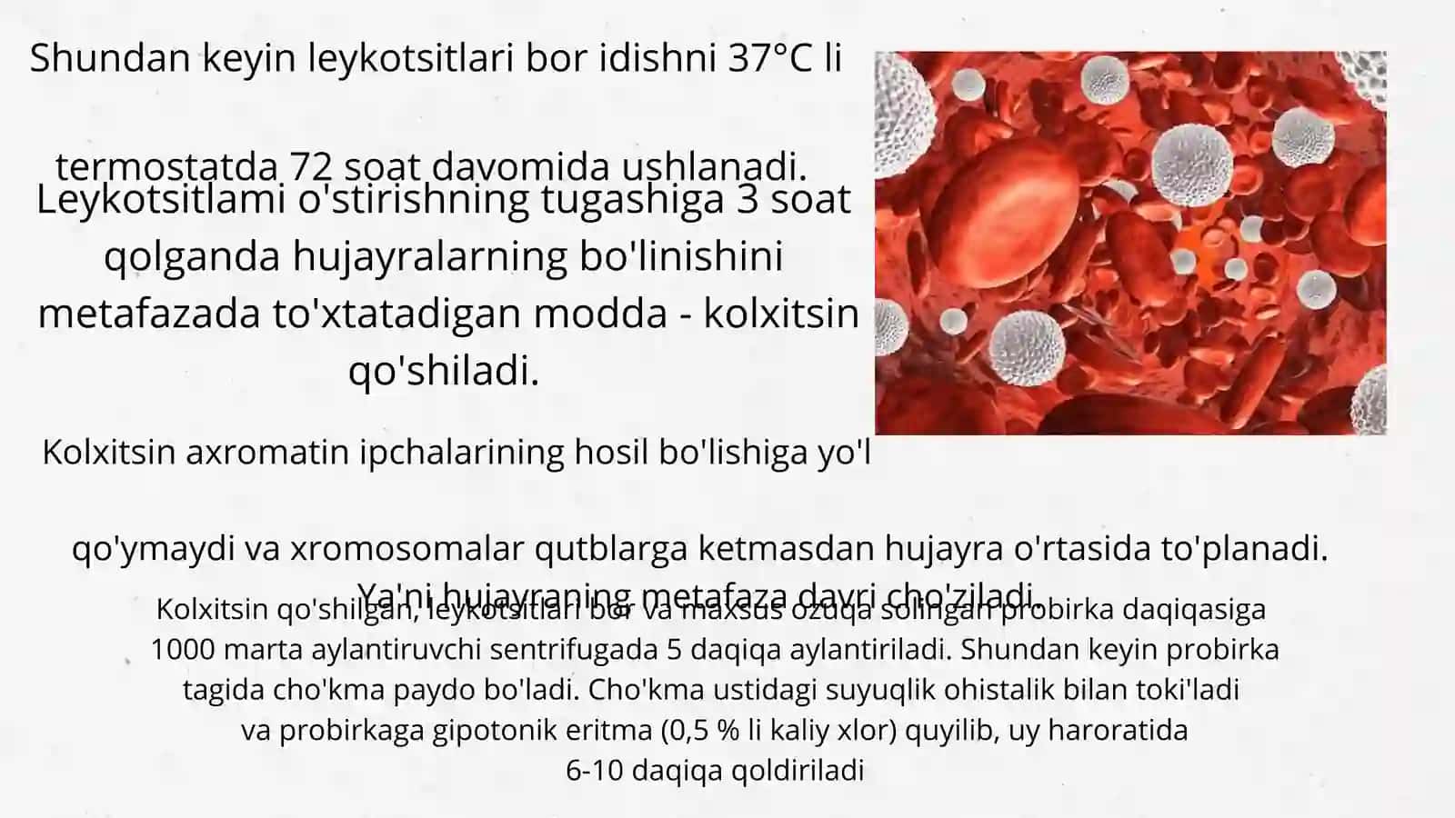 Antropogenetika usullari: biokimyoviy va sitogenetik usul 4