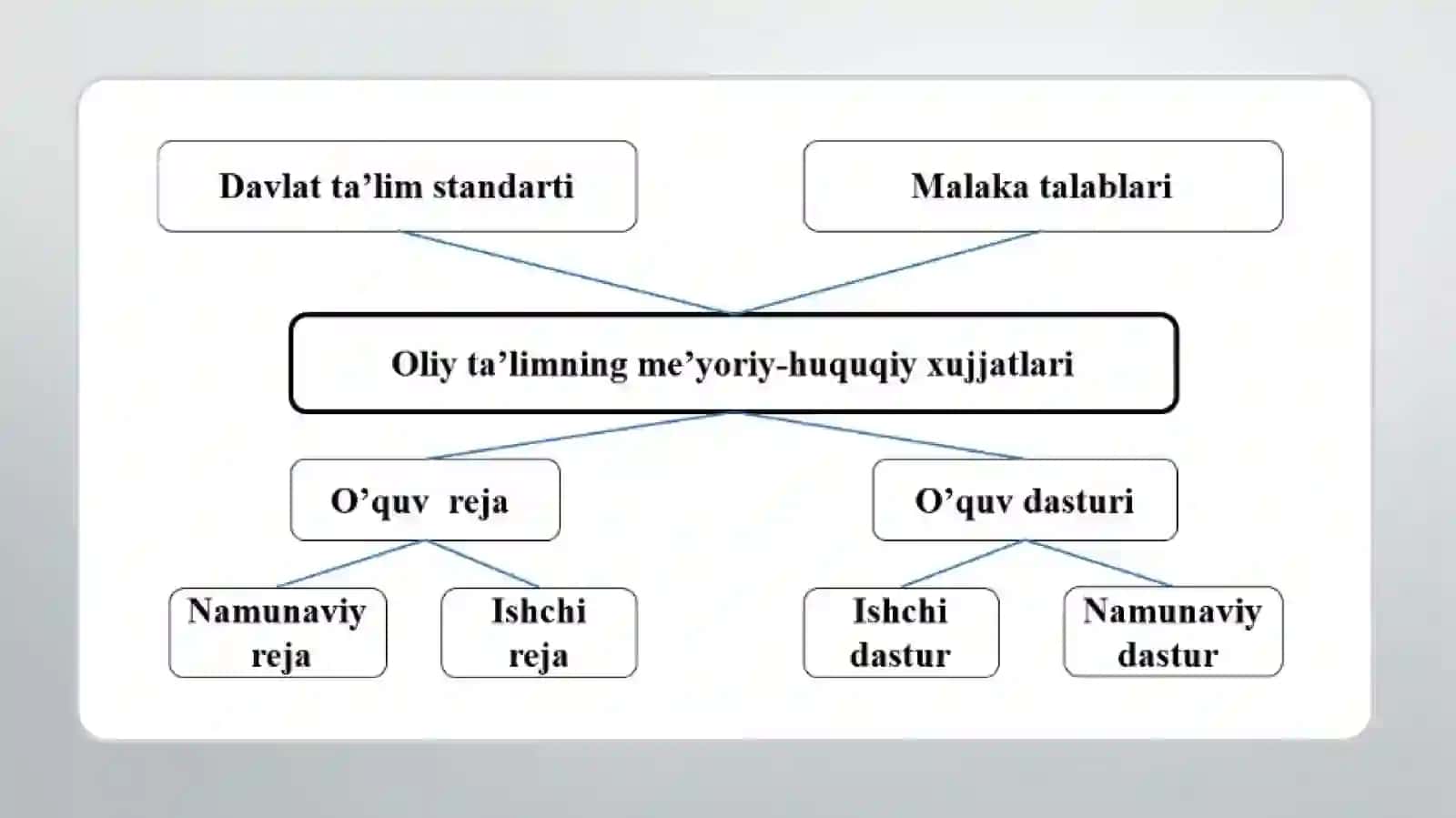 OLIY TA’LIMNING ME’YORIY-HUQUQIYHUJJATLARI 4