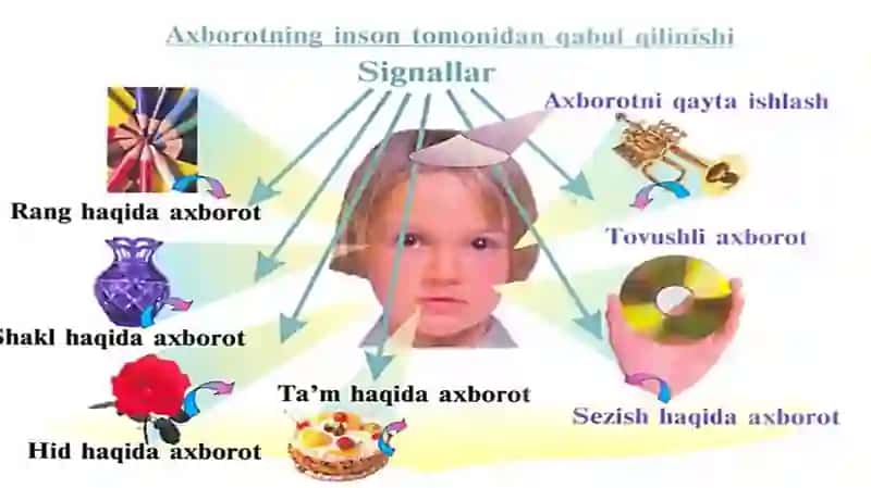 Qaror qabul qilishning psixologik askpetlari va inson xatti-harakati 4