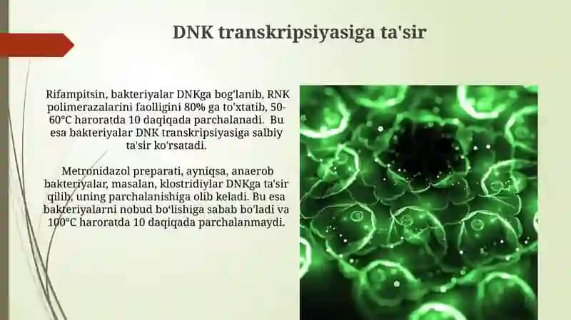 Antibakteriyalarning hujayra nuklein kislotalariga ta'sir mexanizmlari 4