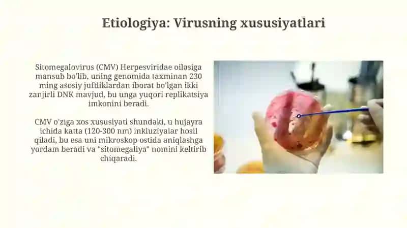 Sitomegalovirus infeksiyasi 4