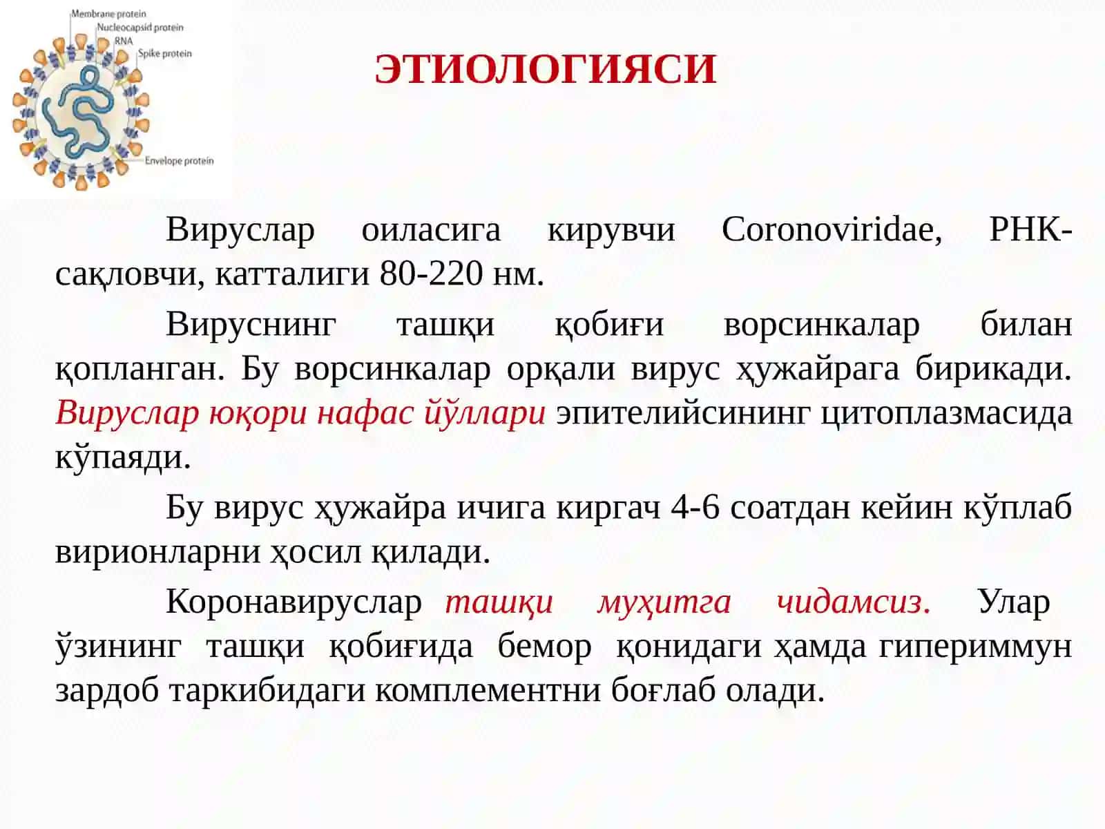 Коронавирус Инфекция 4