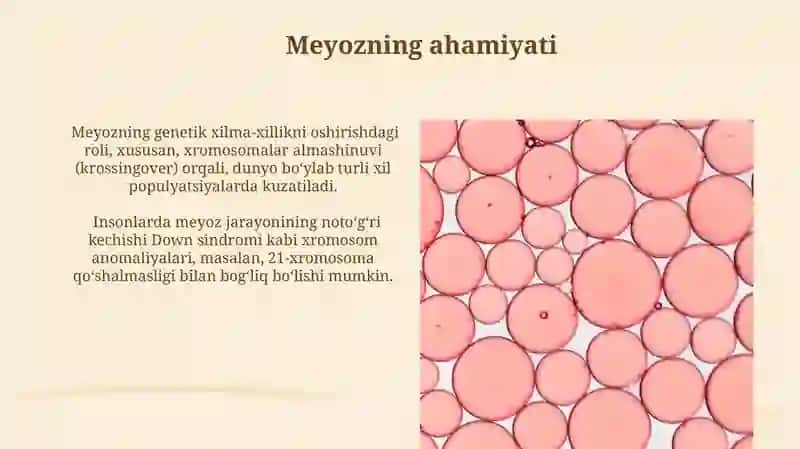 Mitotsning ahamiyati 4