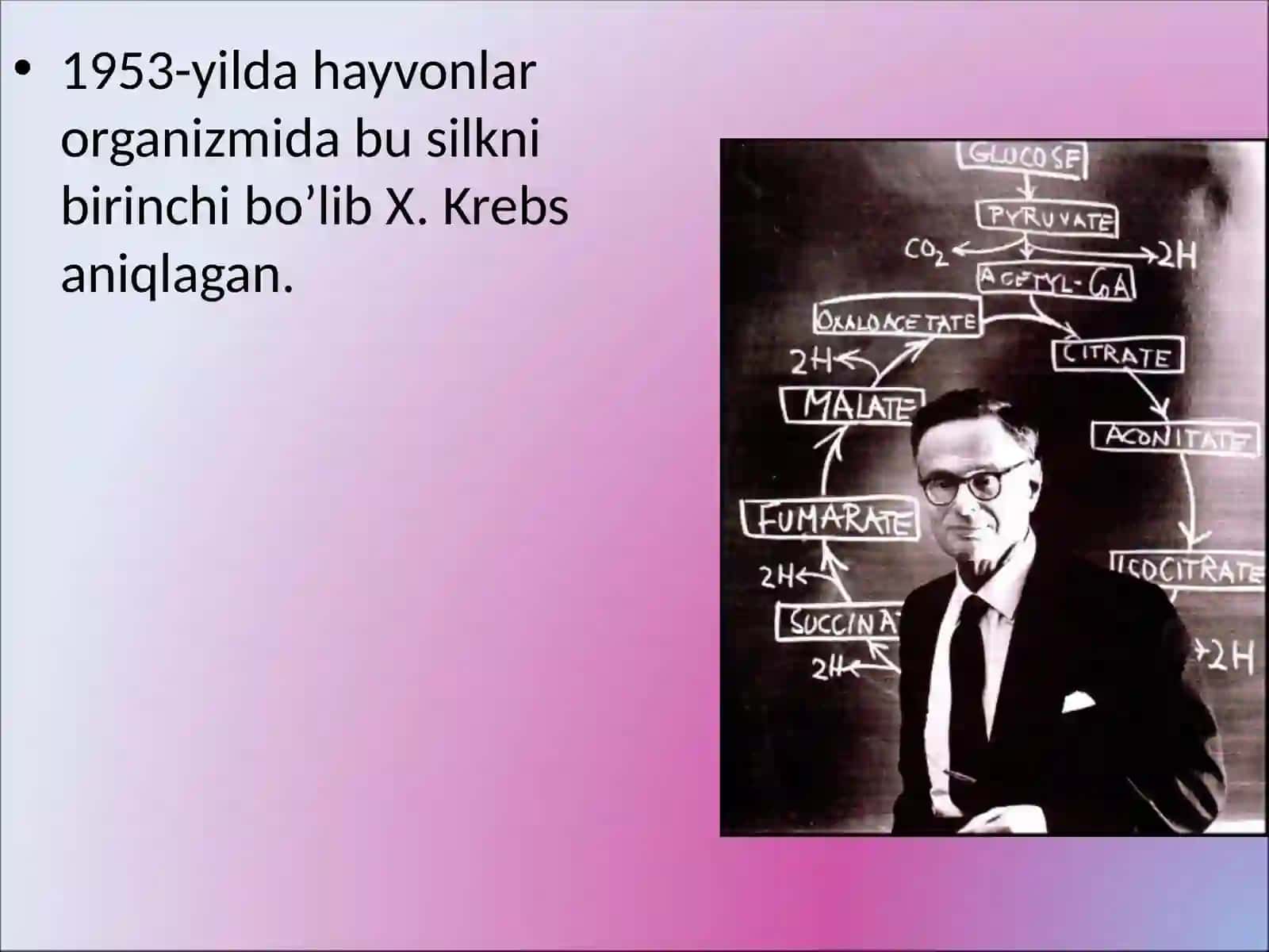 Krebs sikli 4