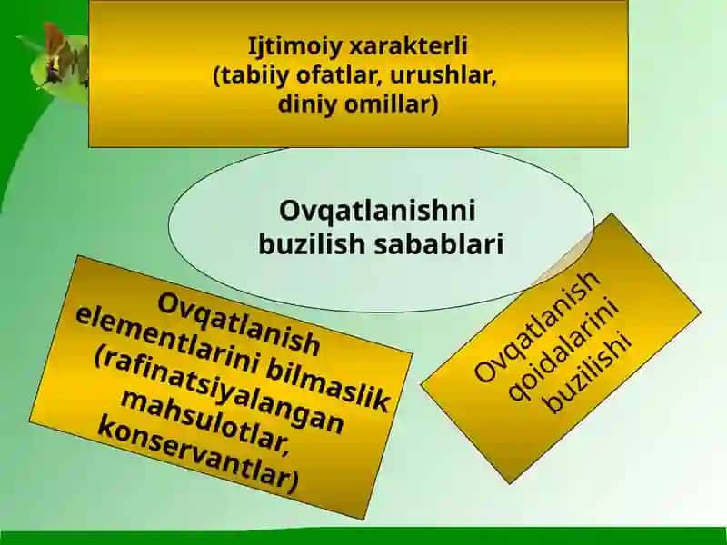 Ratsional ovqatlanishning valeologik tamoyillari 4