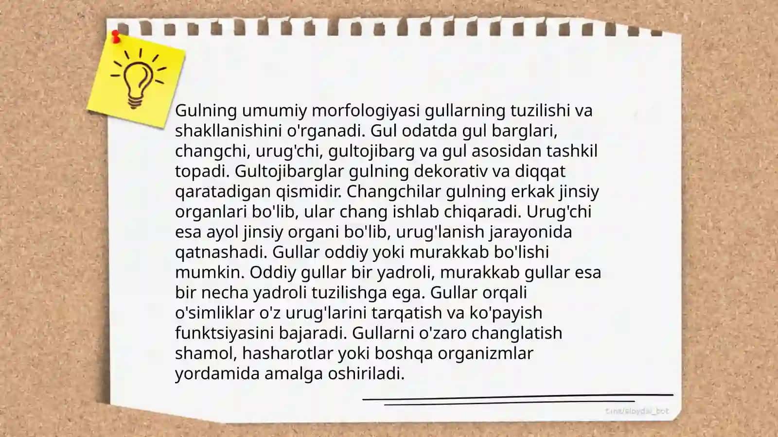 Gulning morfologiyasi 4